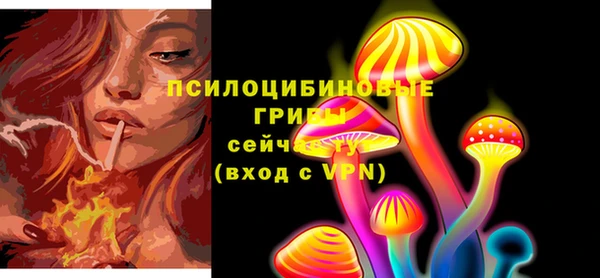 гашик Абинск