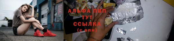 гашик Абинск