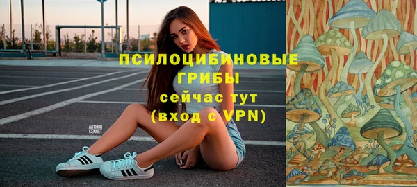 a pvp Абдулино
