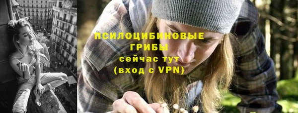гашик Абинск