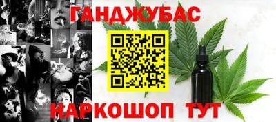 гидра Кингисепп