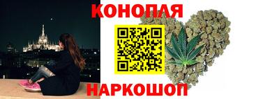 гидра Кингисепп