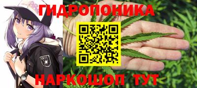МДПВ Кинель
