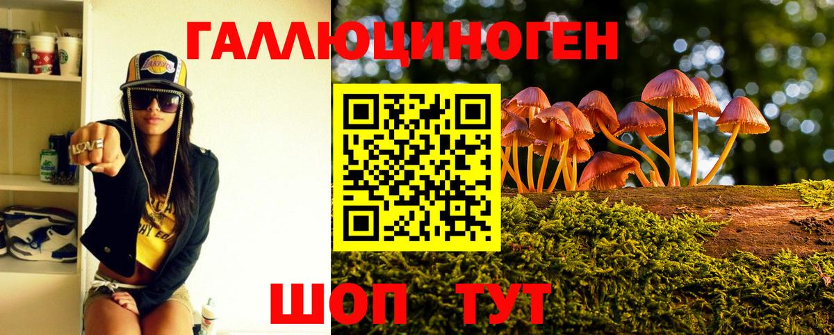 Галлюциногенные грибы мицелий Краснодар