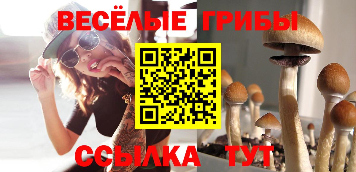 сколько стоит  Вход с VPN  Краснодар  Галлюциногенные грибы Psilocybine cubensis 